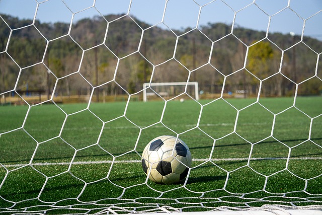 正处于自己 正处于自己