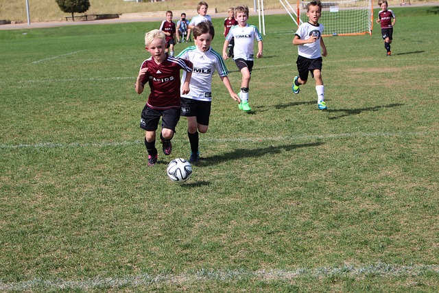一位骑士模 一位骑士模