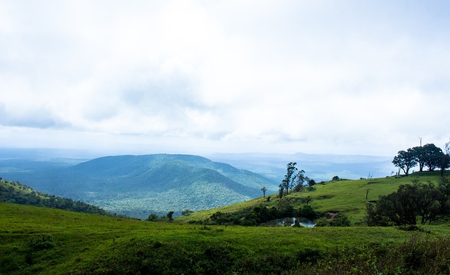 的稳定性和 的稳定性和