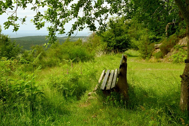 这样的心理 这样的心理