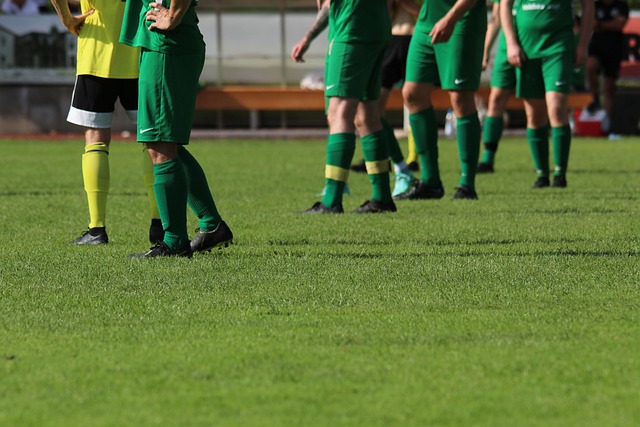 方向发展的 方向发展的