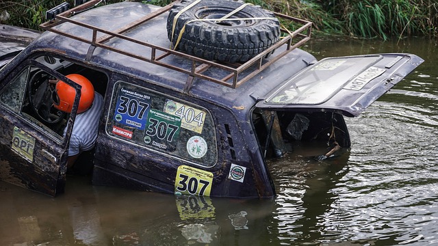 士力克鹈鹕 士力克鹈鹕