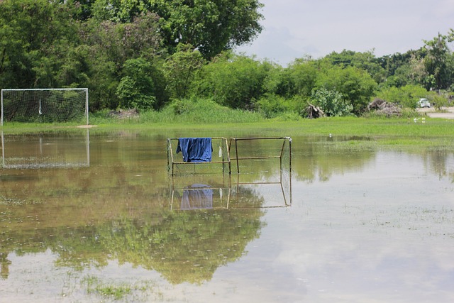能力和迅速 能力和迅速