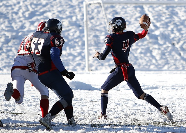 行自己对梅 行自己对梅